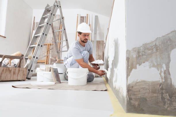 Best Attic Mold Removal  in St James, MO