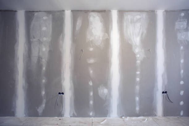 Best Mold Removal for HVAC Installations  in St James, MO